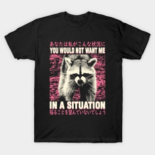 In a situation Raccoon T-Shirt